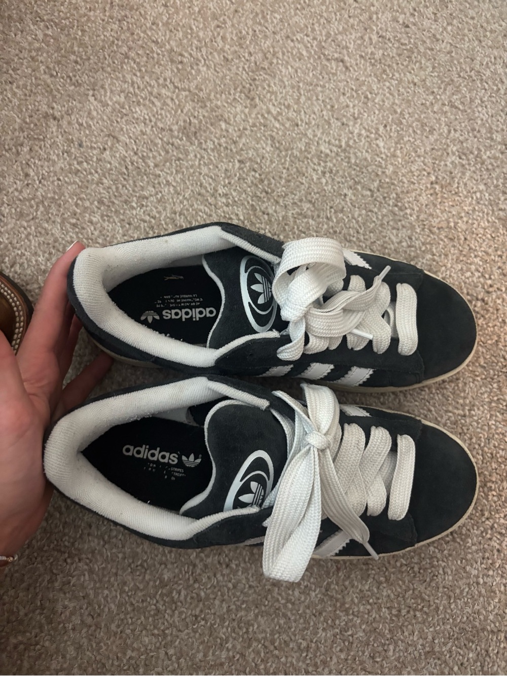 Adidas Campus - Picture 2 of 3